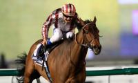 Cirrus des aigles