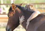 Equitherapie
