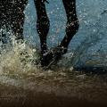 Pas dans l eau